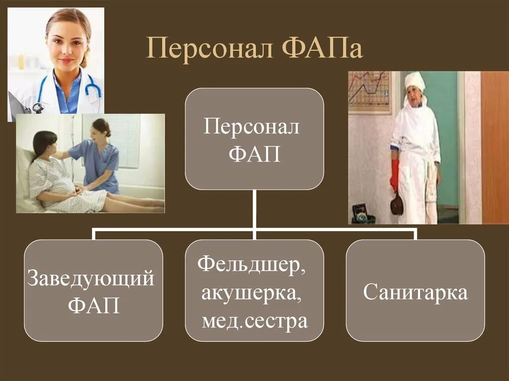 Нагрузка на фельдшера фап. Организация работы фельдшера. Персонал ФАП. Структура ФАП. Фельдшер ФАП.