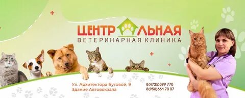 Ветклиника старая русса