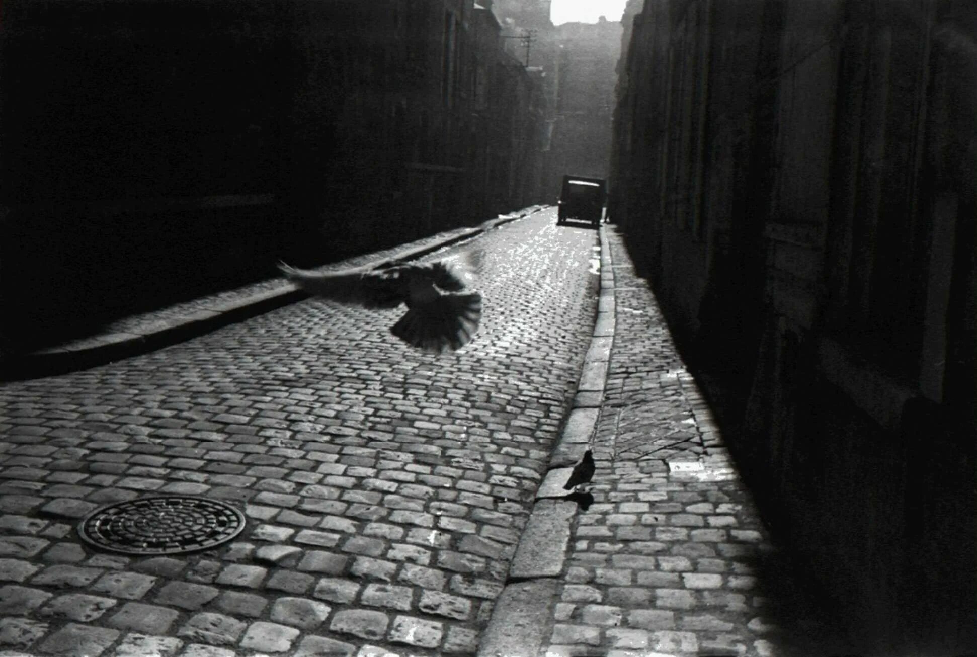 Broken streets. Эллиот фотограф. Эллиотт Эрвитт, Франция, 1928. Эллиотт Эрвитт фотограф. Преследовать черно белая.