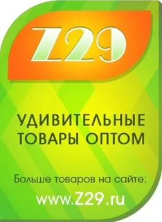 Z 29 31