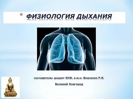 Дыхание физиология