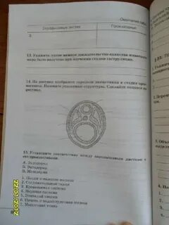 Рабочая тетрадь 9 цибулевский