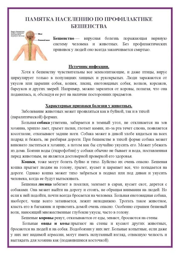 Бешенство памятка. Мероприятия по профилактике бешенства. Профилактика бешенства. Профилактика бешенства у людей. Памятка бешенство животных.