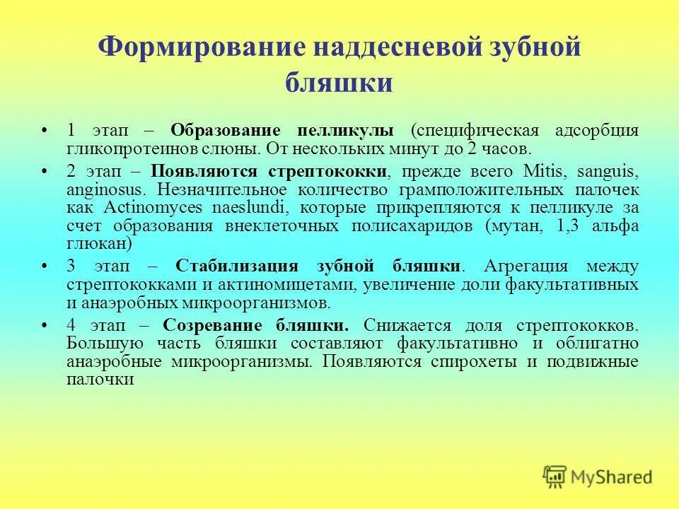 образование зубной бляшки. образование зубной бляшки. механизм формирования зубного налета (бляшки),. схема образования зубной бляшки микробиология. факторы формирования зубной бляшки.