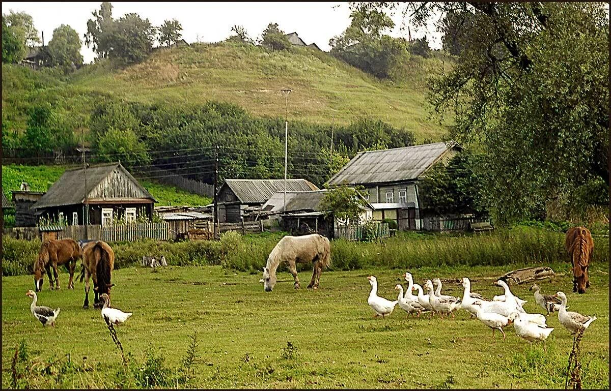 Village работа. Жизнь в деревне. Деревенский пейзаж. Лето в деревне. Красивая деревня.