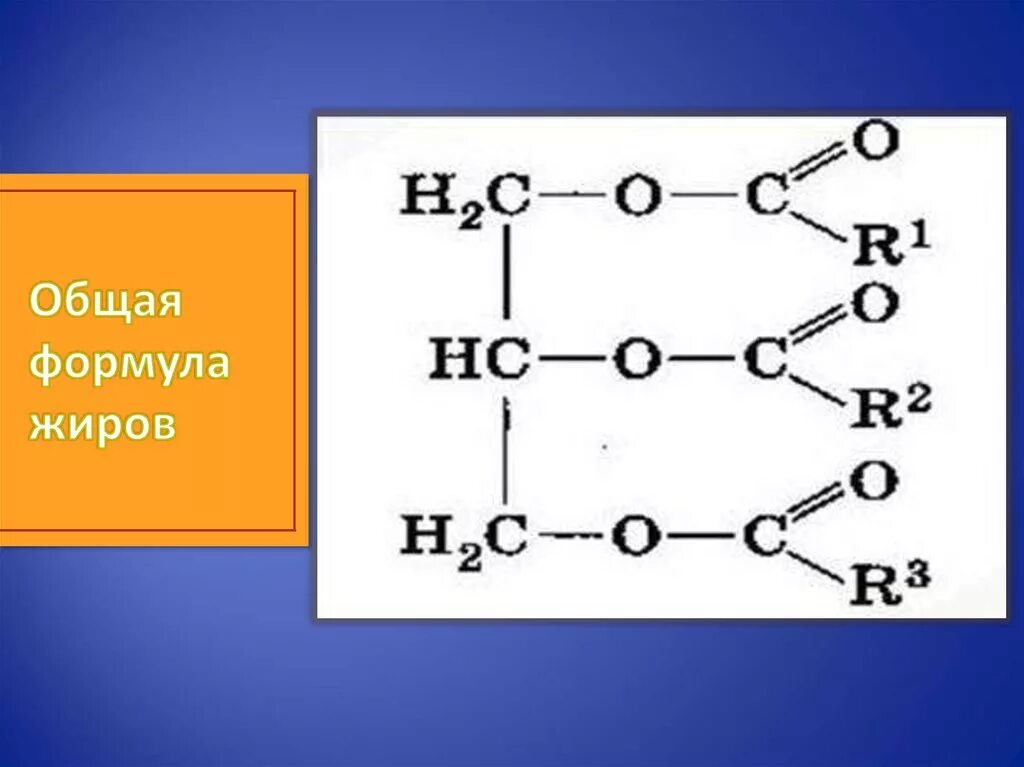 Составить формулу жира