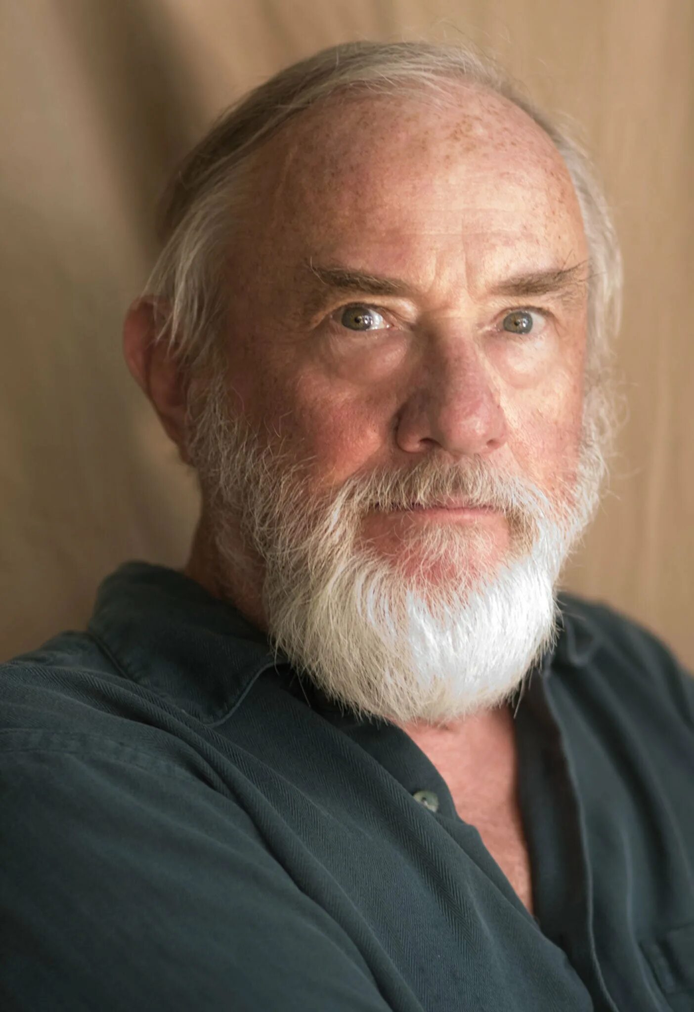 Оливер стоун. Неистовый. Стоун писатель. Deb dalton writer stone and bone. Robert stone (novelist).