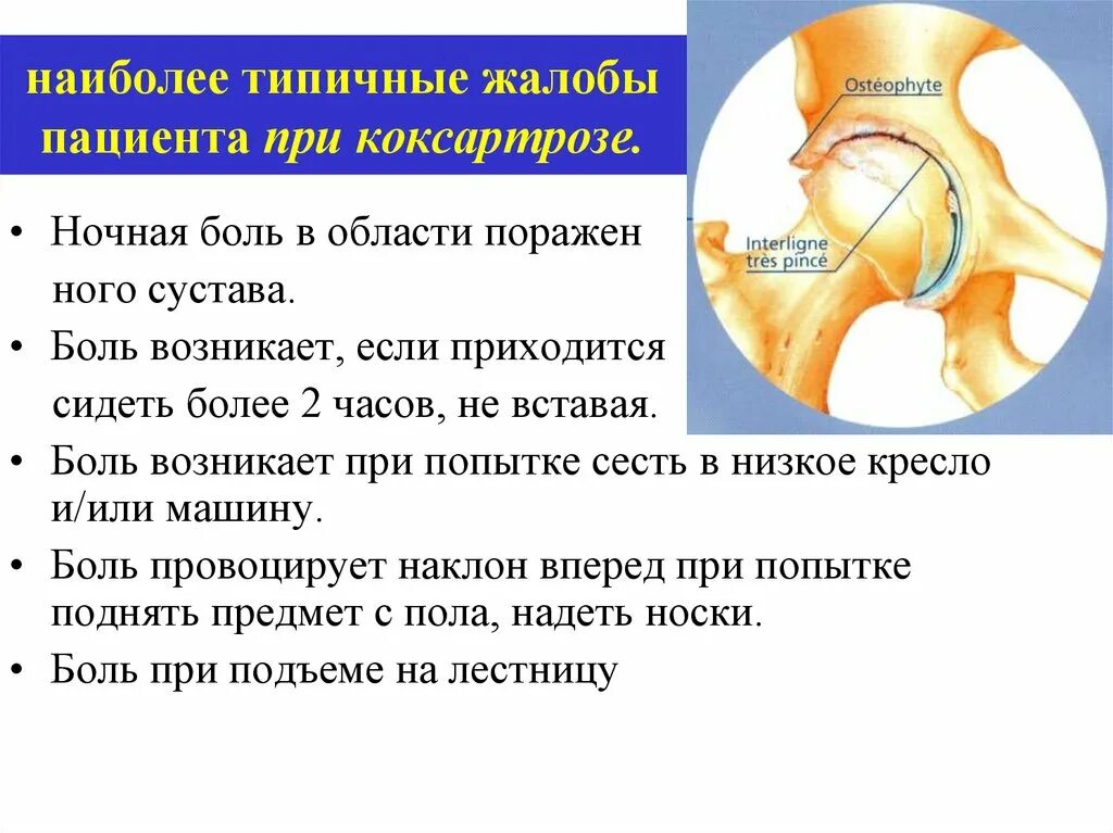 Боль в тазобедренном суставе причины. Коксартроз презентация. Жалобы пациента при коксартрозе. Иррадиация боли при коксартрозе