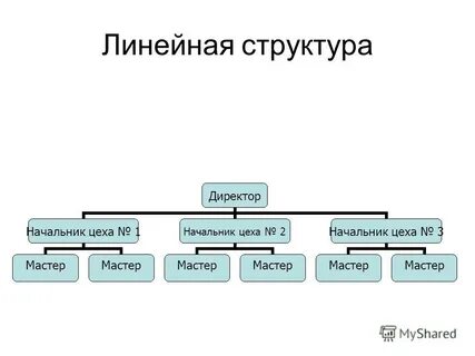 Организационная структура презентация