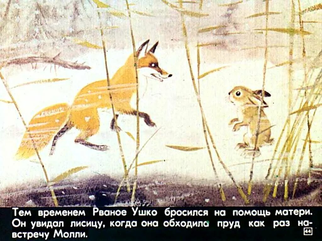 Сетон томпсон рваное ушко. Рваное ушко сетон томпсон. рваное ушко книга. сказка рваное ушко. сетон-томпсон рваное ушко иллюстрации.