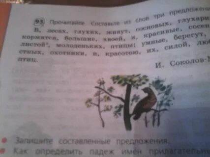 Умные охотники берегут
