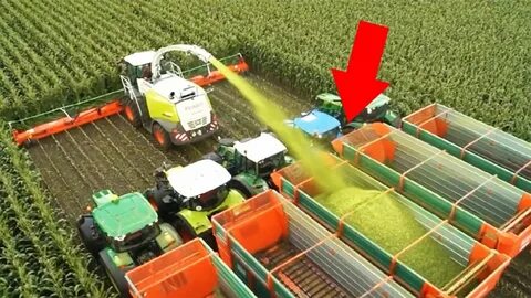 Modern farming