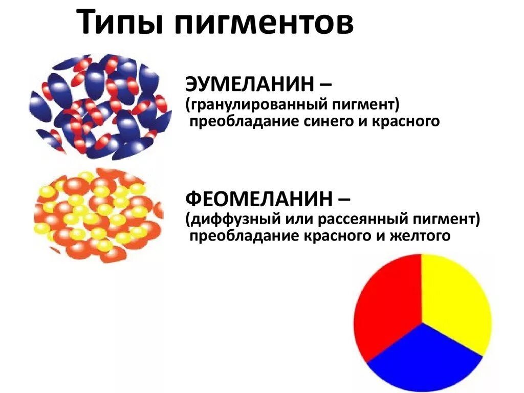 Меланин пигмент волос. Эумеланин и феомеланин. Меланин эумеланин феомеланин. Типы пигментов. Типы пигментов волос.