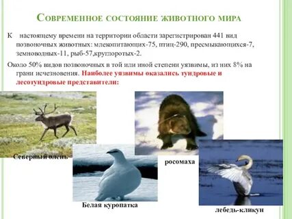 Животное состояние