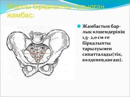 Қырғыздардың секс суреттері