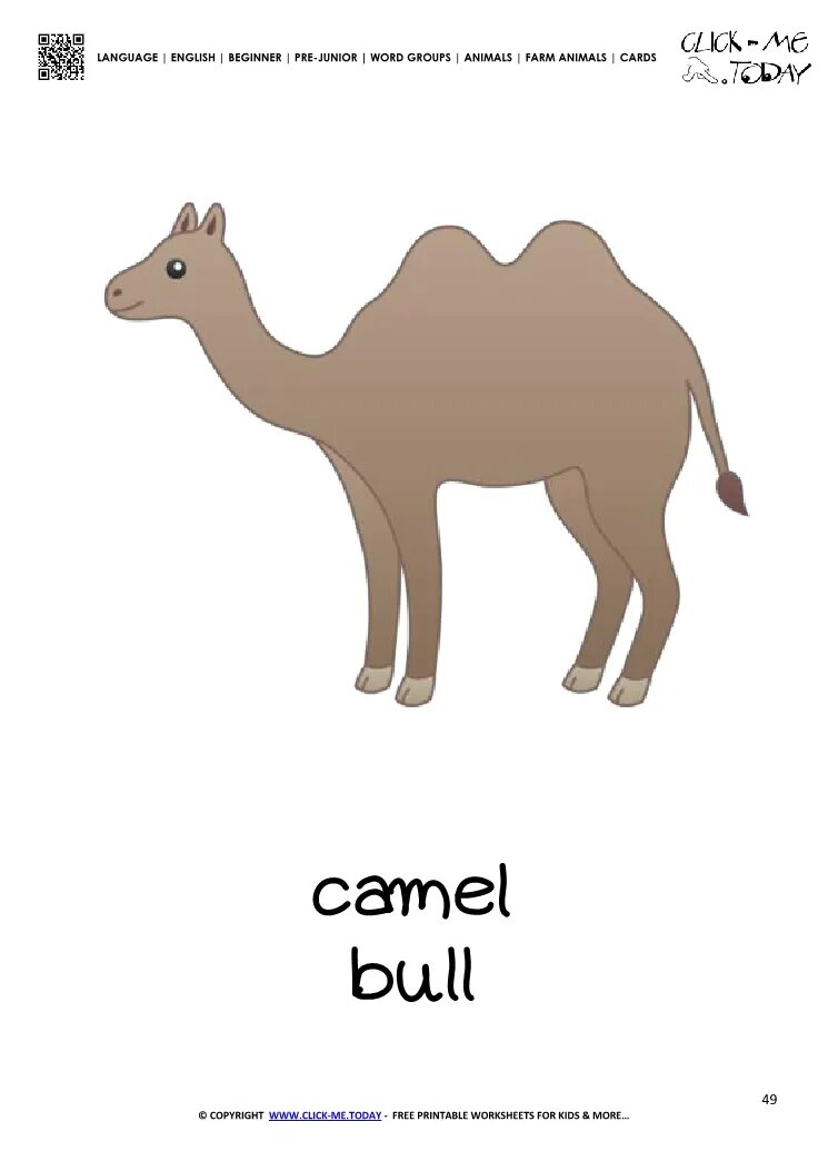 Camel Card. Camel Flashcard. Кэмел с английского. Camel на английском языке. Camel перевод на русский