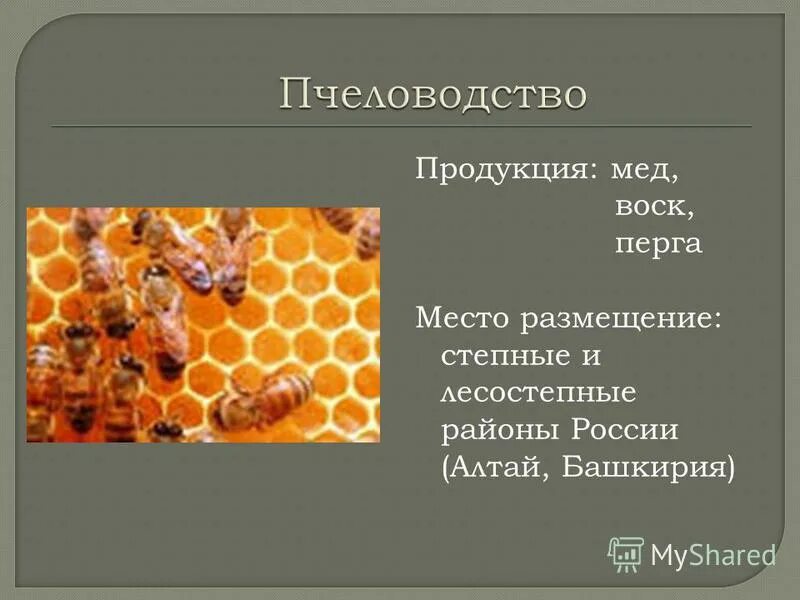 польза пчел. польза от продукции пчеловодства. продукты пчеловодства названия. полезные продукты пчеловодства. пчелы продукты пчеловодства.