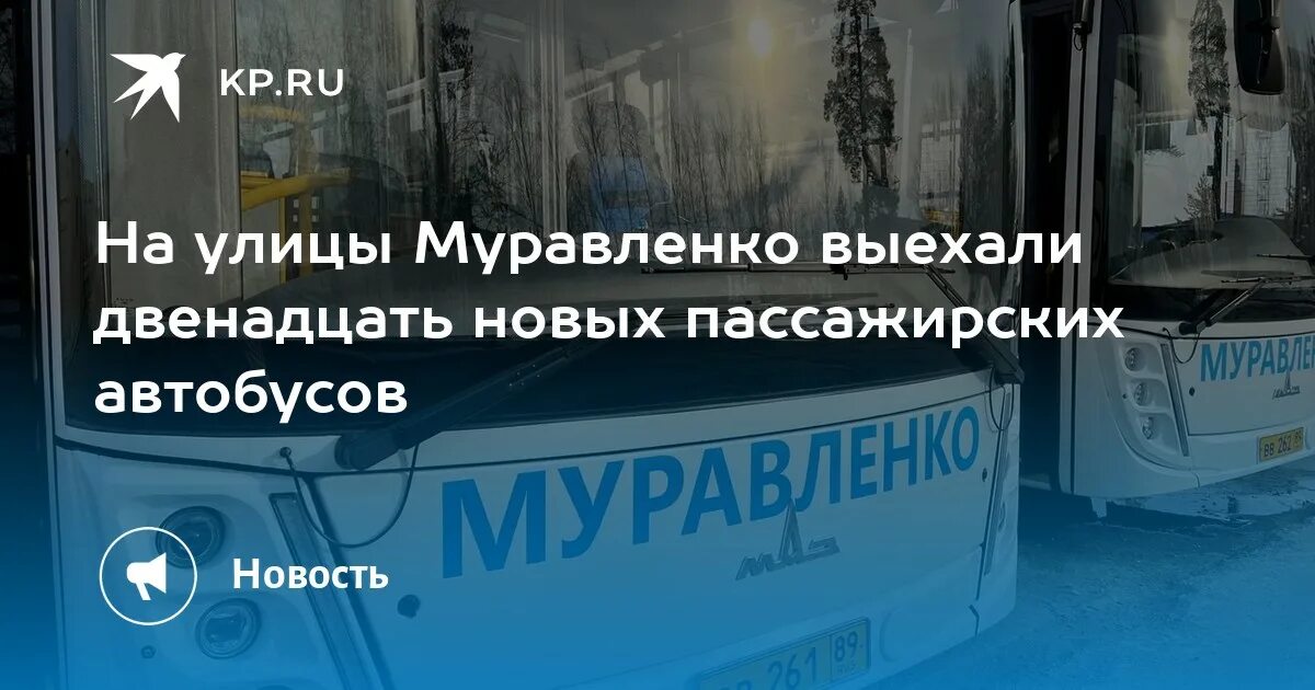 Расписание маршруток муравленко ноябрьск. Новые автобусы. Автобус маршрутка. Новые маршрутки. Ноябрьск Муравленко автобус.