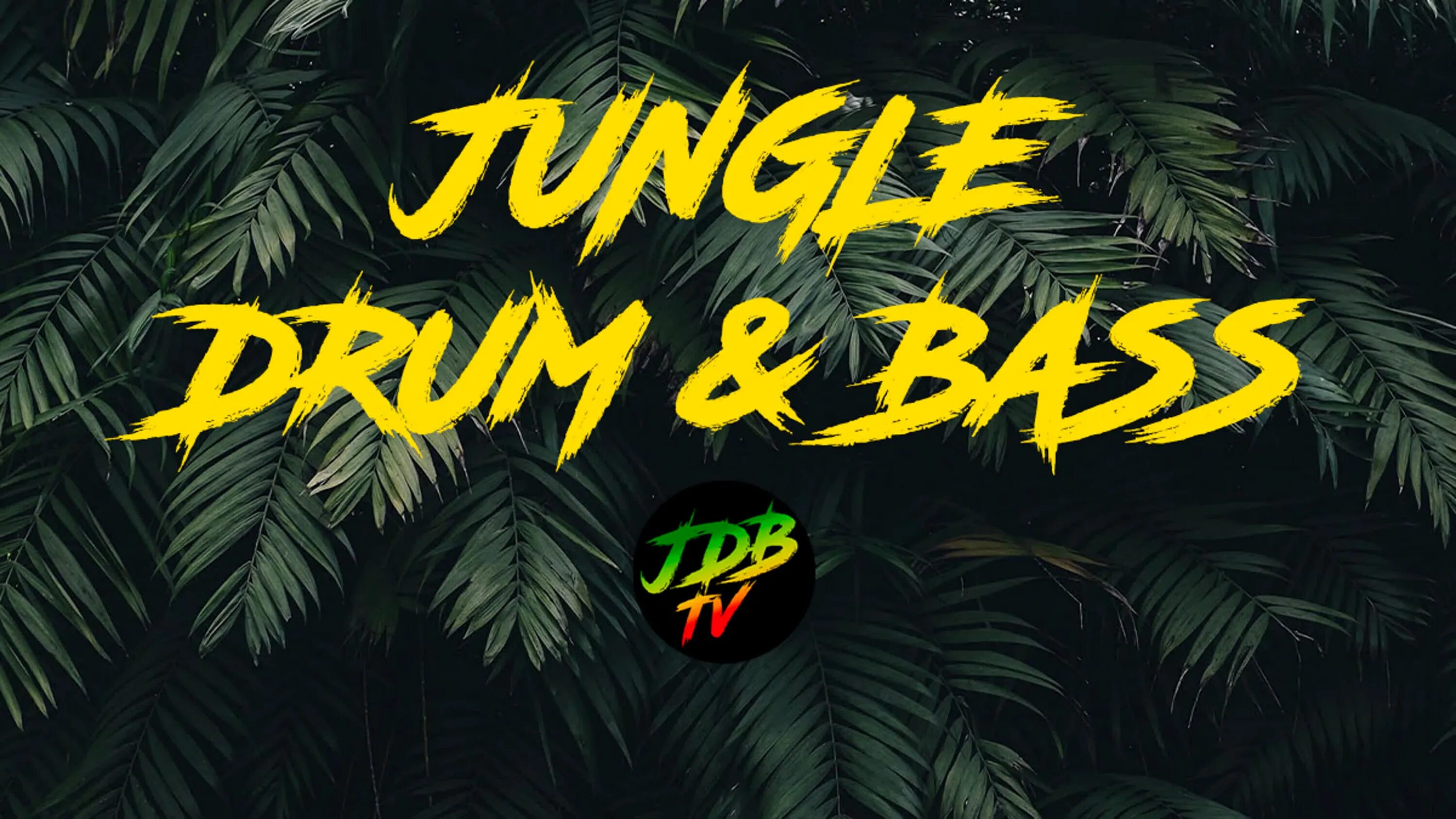 Jungle dnb. Джангл днб. fresh джунгли. jungle dnb music. top jungle dnb.