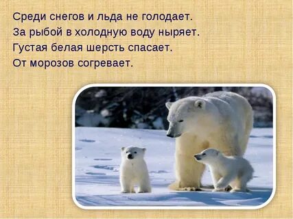 В холодных районах нужно обязательно заготавливать