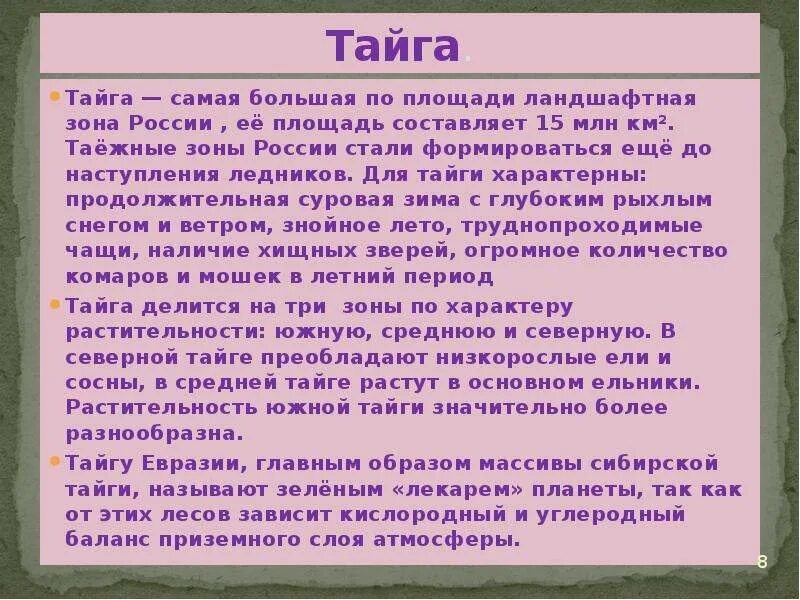 Краткий рассказ про класс. Сообщение о тайге. Рассказ о тайге. Сообщение о тайге 4 класс. Рассказ о тайге 4 класс.