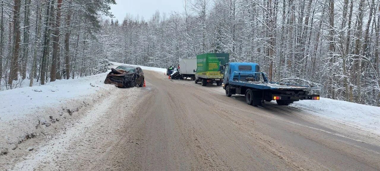 47 ньюс всеволожский. ДТП Толоконниково Скандинавия 03.03.2023. Лобовой аварии у поселка Лесогорский Выборгского района Ленобласти. Авария в поселке Калевала 2014 год. Толоконниково-Стрельцово реконструкция дороги.