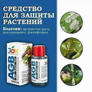 Препараты от болезней растений