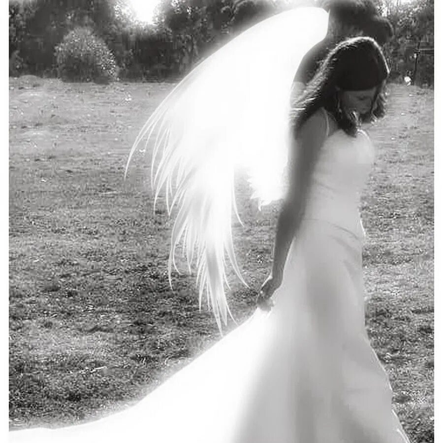 Найти сломанные крылья. Женщина ангел. Девушка с крыльями. Девушка - ангел. Ангел фото.