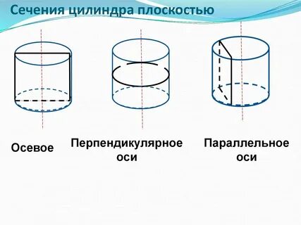 Сечение цилиндра плоскостью перпендикулярной основанию