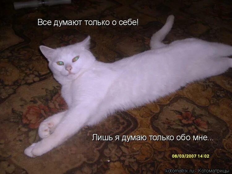 Что я буду думать. Думать только о себе. я думаю только о себе. все думают только о себе лишь я думаю только обо мне. ты обо мне.