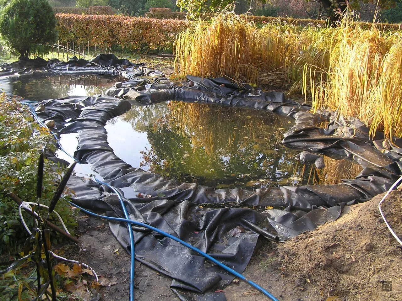 Строим водоемы. Огородный прудик. Пруд на даче. Искусственный водоем. Прудик на даче.