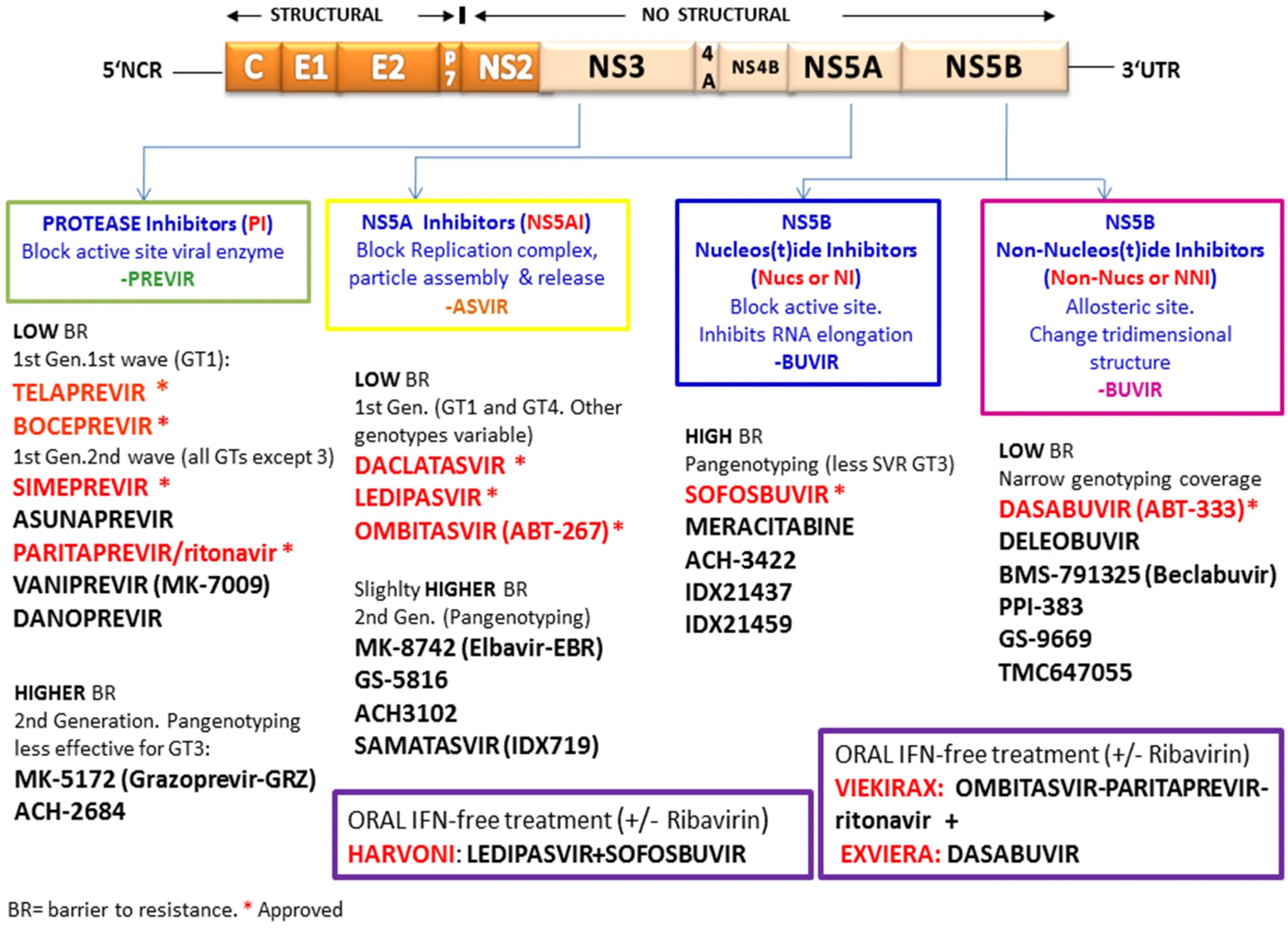 Ns3 ns4 ns5 показатели. Гепатит с ns3 ns4 ns5 что такое. Гепатиты Core ,ns3 ,ns4,ns5 положительный. Ns3,ns4,ns5 расшифровка. Hcv ns