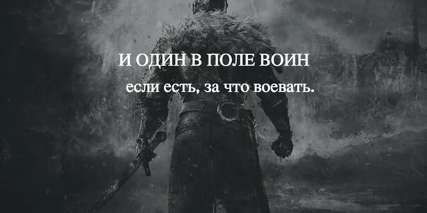 Один в поле воин фраза. Один в поле воин. один в поле воин цитата. и один в поле воин если есть за что воевать. один в поле тоже воин.
