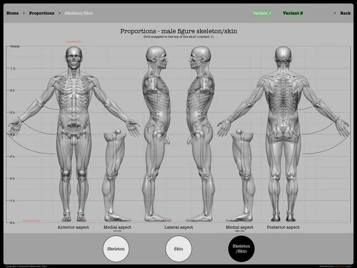 Complete with giving proportion take