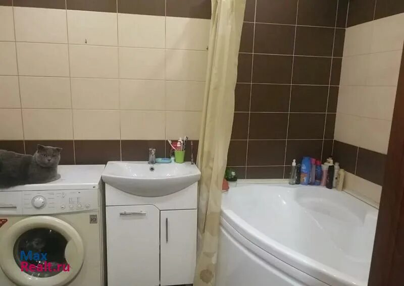 Снт 4 рубцовск. Снт 3 рубцовск. Авито рубцовск 3. Снт 1 рубцовск. Авито рубцовск 3.