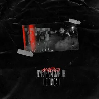 Песня дурак фогель