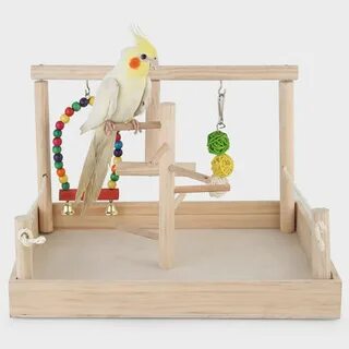 Bird play