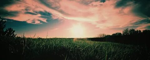 Картинки для группы природа