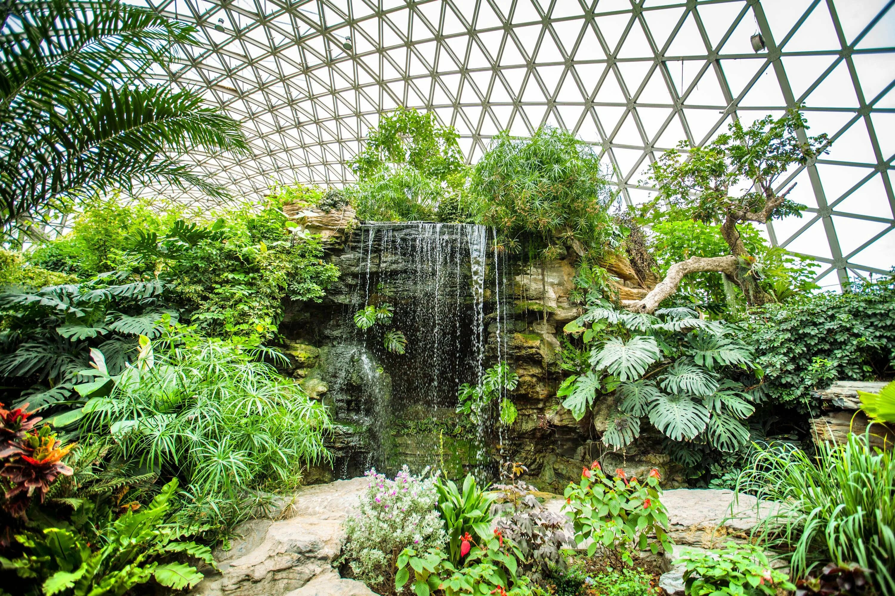 Китайский отель ботанический сад