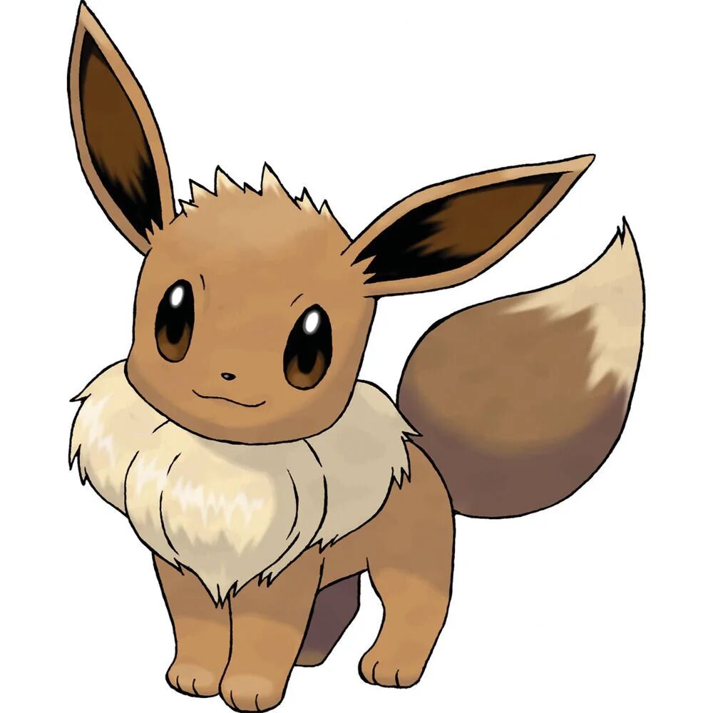 Иви герой. Покемон Eevee. Иви покемон. Покемон иви иви. Pokemon Eevee Evolution.