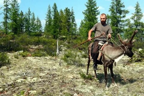 Езда на олене