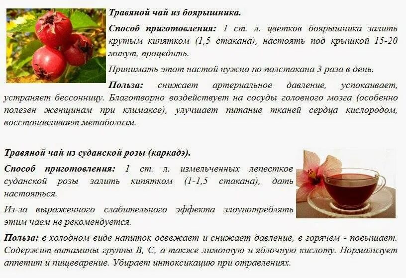Можно ли давать шиповник детям