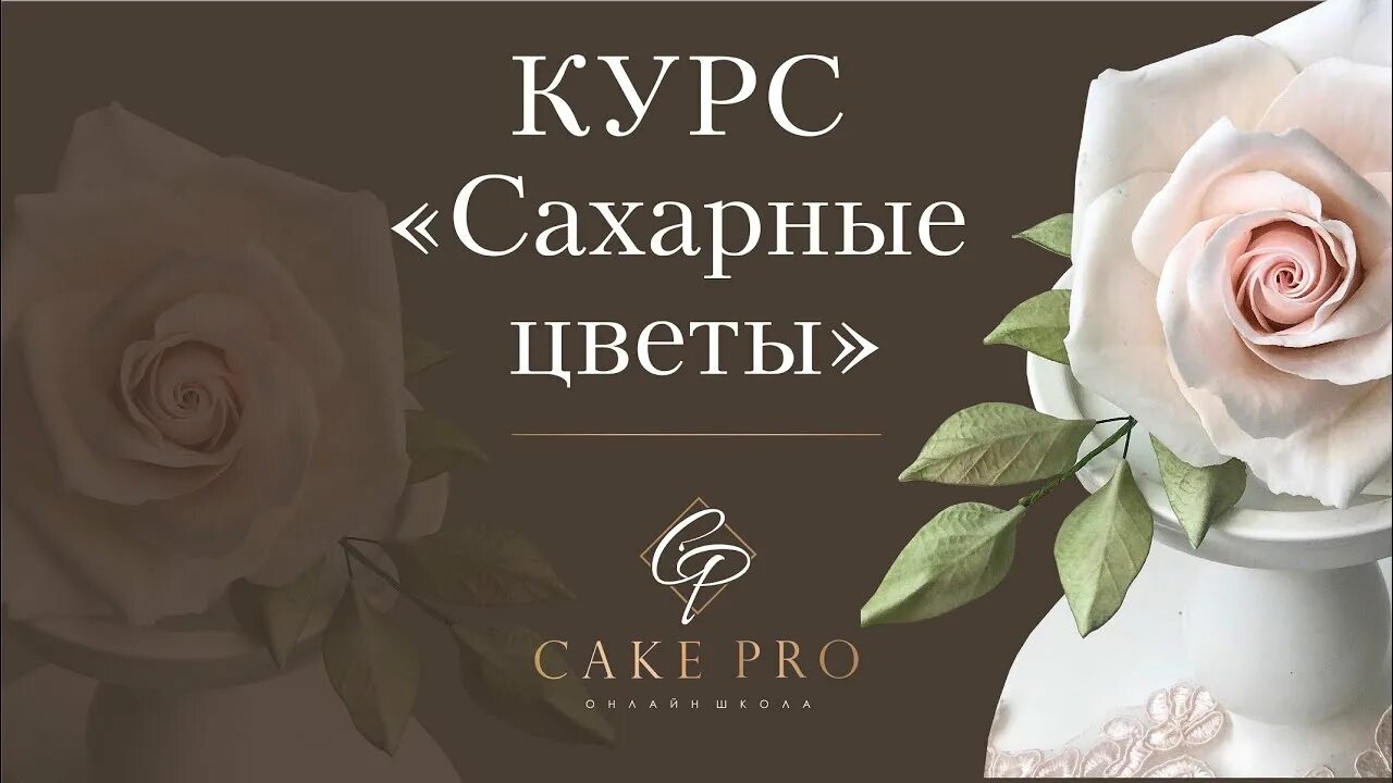 Торт с живыми цветами одноярусный. Решетняк сахарные цветы. Торт с сахарными цветами. Торт с сахарными цветами. Торт с живыми цветами.