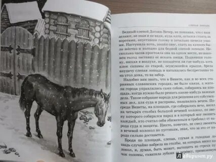Слепая лошадь читательский дневник