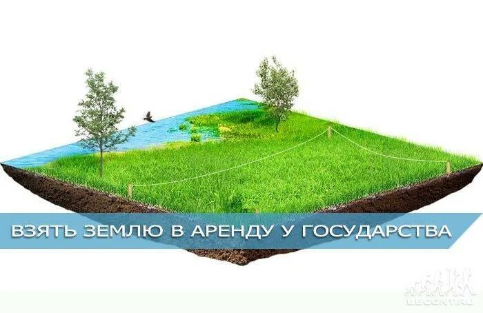Землю бери. Землю бери
