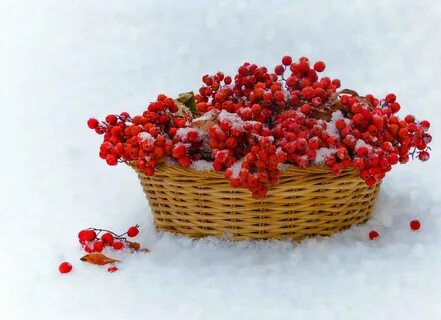 Красивые обои ноябрь