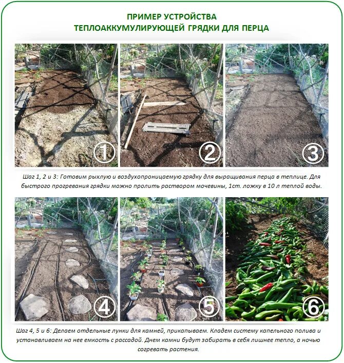 Что положить в лунку при посадке перца. Теплая грядка в открытом грунте. Теплые грядки для перцев. Схема теплой грядки. Теплая грядка для перца в открытом грунте.