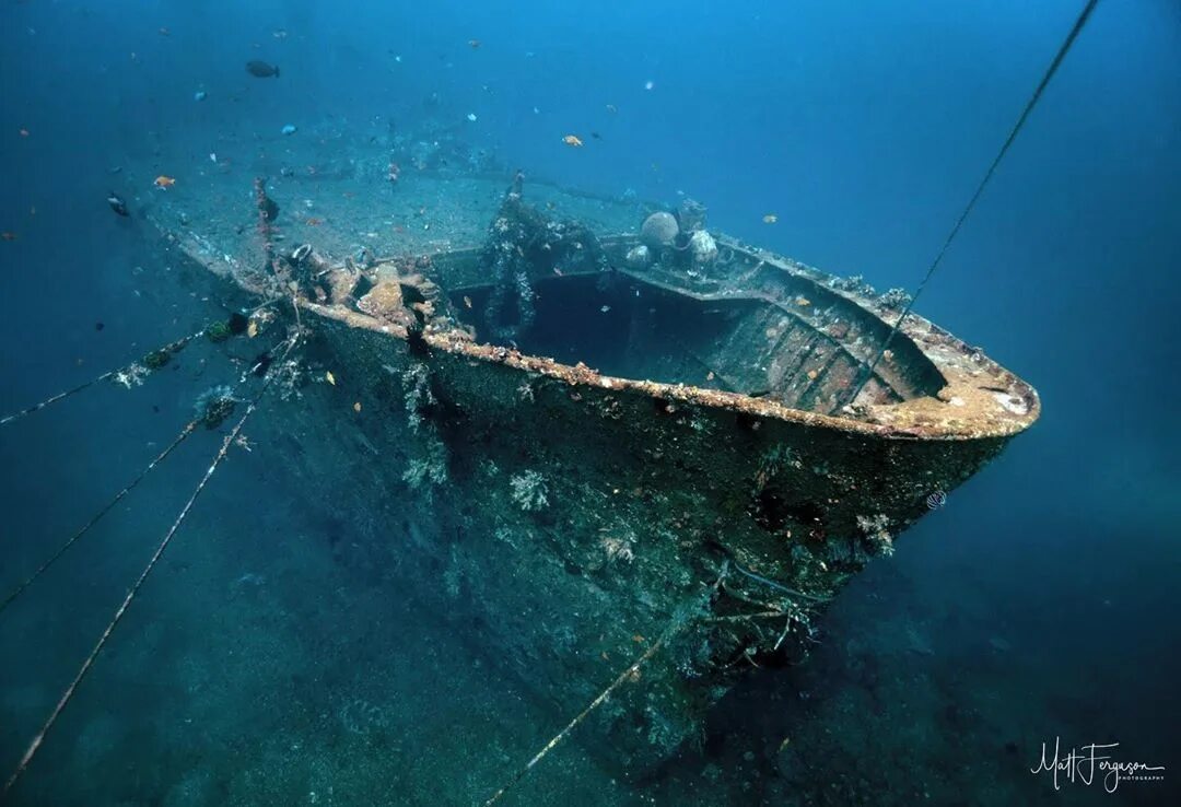 Какой корабль затоплен. Затонувший корабль Амед Бали. Затонувший Галеон «Сан-Хосе». Корабль Либерти затонувший. Затонувший корабль в Крыму Тарханкут.