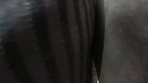 70.00. XXX BULE LIVE SEX CHAT. 