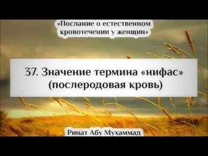 Истихада